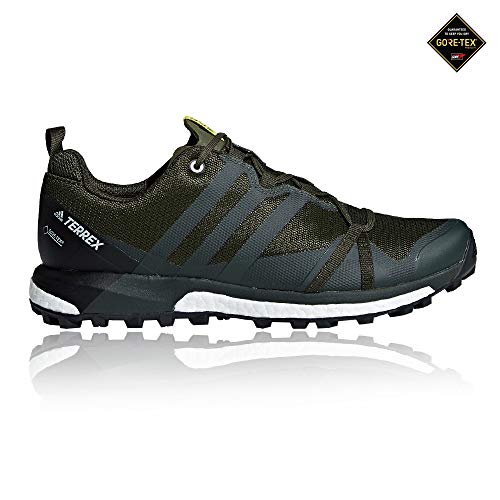 adidas Herren Terrex Agravic GTX Traillaufschuhe, Mehrfarbig