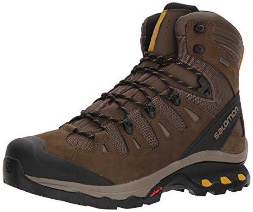 Salomon Herren Quest 4d 3 GTX Trekking-& Wanderstiefel, Grau-Braun