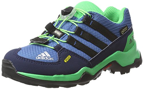 Adidas Terrex Gtx, Unisex-Kinder Wanderschuhe