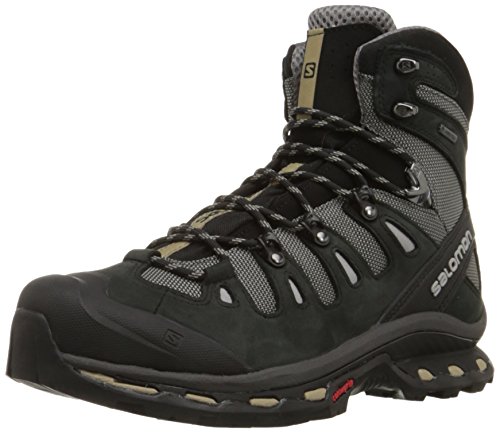 Salomon Herren Quest 4D 2 GTX Trekking-& Wanderstiefel, Grau